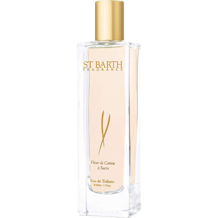 Fleur de Canne à Sucre